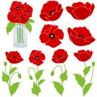 Red poppies N5