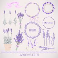 Lavender set