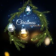 Christmas tree branches 02 A N3