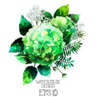 Green watercolor hydrangea vignette