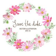 Cosmos Flowers Frame