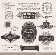 Calligraphic Design Elements N372