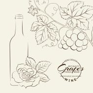 Hand drawn wine label