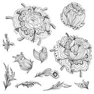 Sketch Floral Design Elements N2