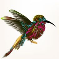 Vector illustration with realistic humming bird for design