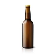 Blank brown realistic beer bottle isolated on white background with