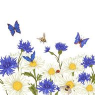 Greeting Card with Blooming Chamomile N5