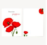 Template card with red flowers poppies