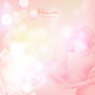 01 romantic background rose