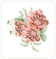 Composition of different spring flowers and plants N2