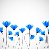 Abstract nature background Blue cornflowers N4