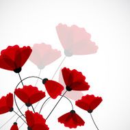 Abstract nature background Red poppy flowers N12