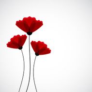 Abstract nature background Red poppy flowers N13