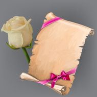 Vector white rose and scroll with ribbon