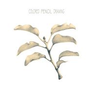 Illustration with spring plant
