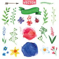 Watercolor floral decor branches flowers set