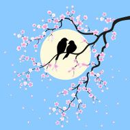 two birds N8