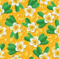 Tropical flowers plumeria N8