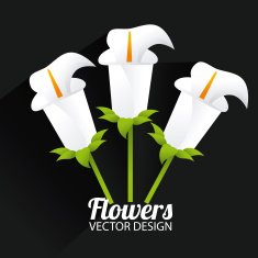 Flowers design N114