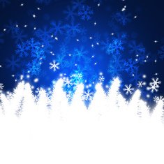 Winter delightful snowfall background N60