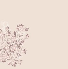 Hand drawn decorative background with flowers N4