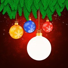 Branches of christmas tree on abstract background N3