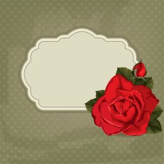 Invitation card with rose and frame - Illustration