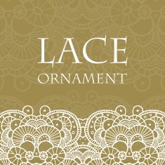 Vector lace ornament background N26