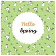 Hello Spring! Mexican Style N10