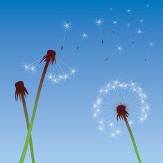 color vector dandelions
