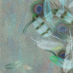 Feather background N7
