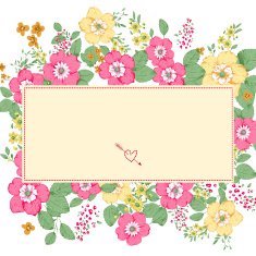wedding invitation N98