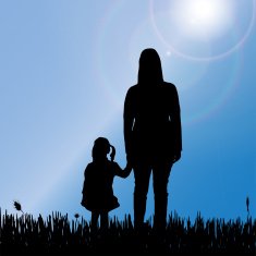 Vector silhouette of nature N5