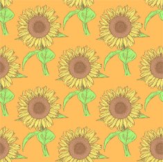 Sketch sunflower vector vintage seamless pattern N3