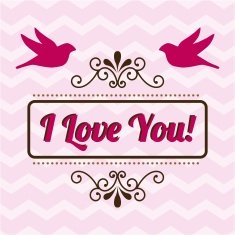 love design N411