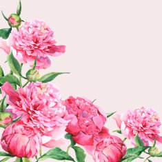 Pink watercolor peonies vintage greeting card N3