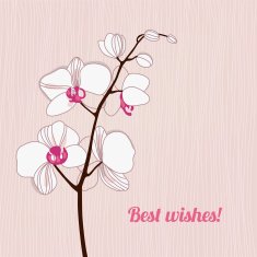Greeting card with orchids