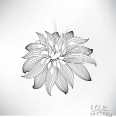 Floral Elements for design N39