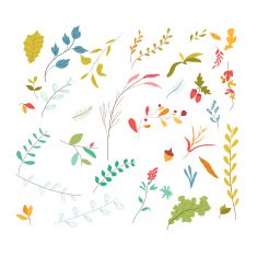set of florals and ribbon N3