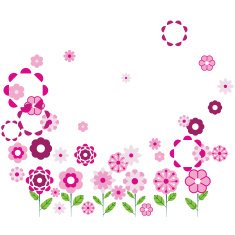 floral frame N159