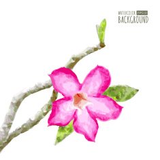 Watercolor vector background with tree branch and pink tropical N2