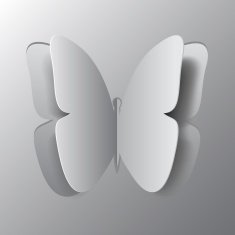 concept of origami butterfly cut the paper abstract backgroun