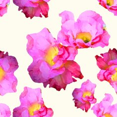 Flower Watercolor N2