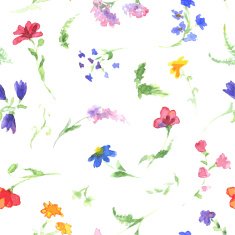 Watercolor pattern with wildflowers N2