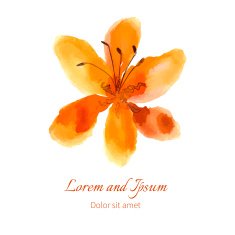 lily vector illustration painted watercolor N2