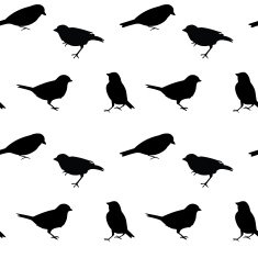 Black and white vector seamless pattern with birds N2