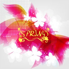 Spring Flower Background N8