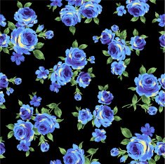 repetition of the rose N24