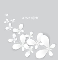 White butterflies N5