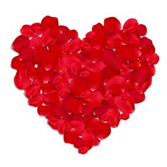 Red rose petals heart